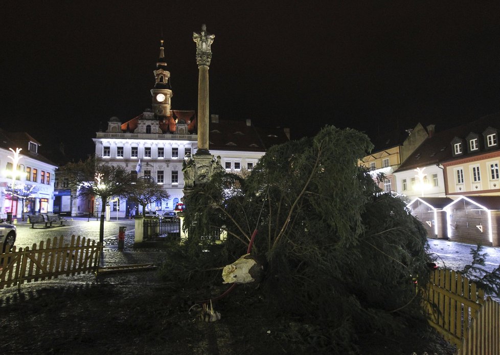 Česká Lípa přišla o svůj vánoční strom na náměstí. Dvacetimetrový smrk spadl zřejmě v důsledku silného větru.