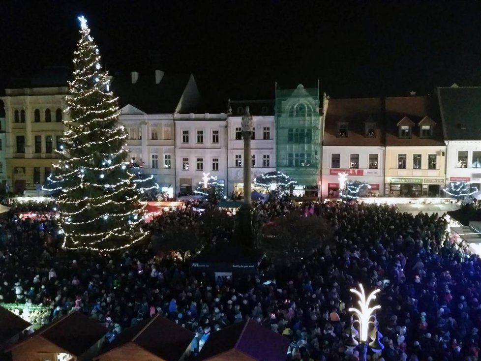 Vánoční strom v České Lípě