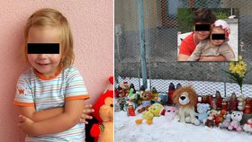 V České Lípě proběhlo dnes poslední rozloučení se čtyřletou Darinkou, kterou podle policie zabila její vlastní matka