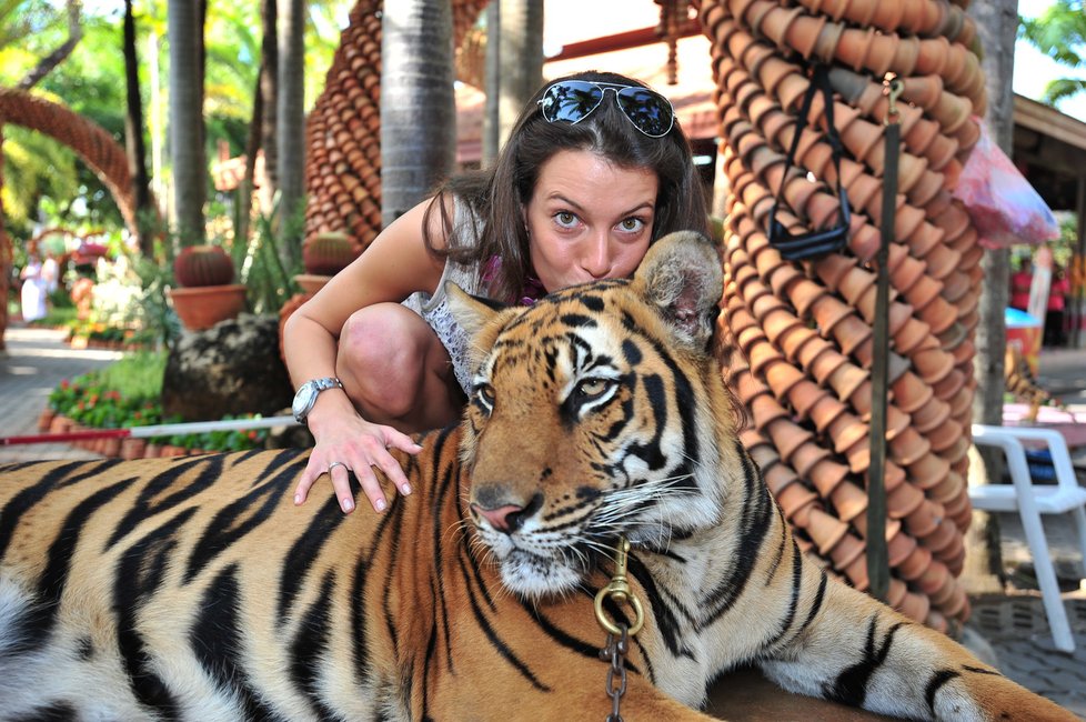 Odvážnější dívky se vyofily s tygrem
