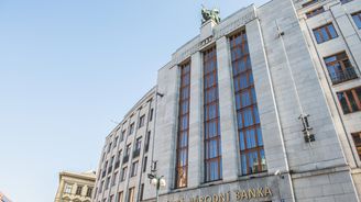 Monika Zahálková: Potřebujeme silné banky, které pomůžou v recesi