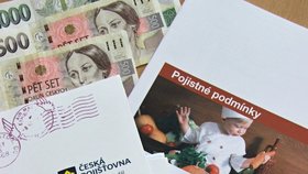 Finanční arbitr v minulých dnech po téměř čtyřech letech řízení rozhodl o neplatnosti smlouvy investičního životního pojištění České pojišťovny.