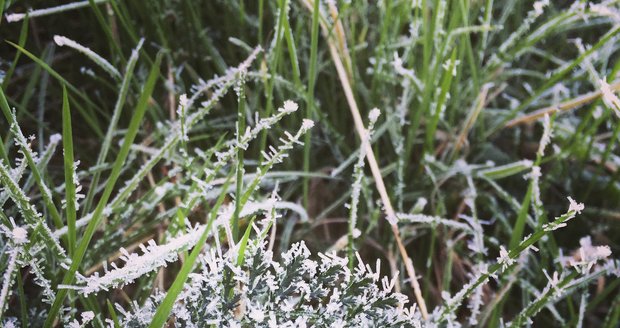 Na řadě míst v Čechách bylo ráno pod nulou, na vině je podle meteorologů hlavně inverze