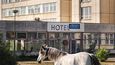 Groteskní a zároveň smutný pohled na opuštěný hotel, kolem kterého se nyní pasou koně