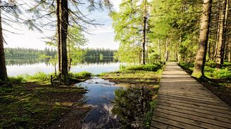 Poklidná cesta do pravěku: Slavkovský les je málo navštěvovanou oázou klidu mezi lázeňskými giganty
