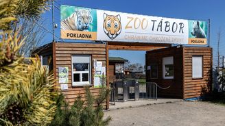 Tip na výlet: Zoo Tábor a rozhledna Hýlačka