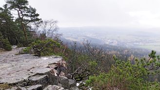 Putování po brdských vrcholech: za tajemstvím vládce lesů i českým Archimédem Putování po brdských vrcholech: za tajemstvím vládce lesů i českým Archimédem