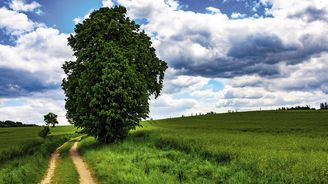 Od pražského Botiče po moravskou Dyji aneb Pěšky z Prahy do Znojma Od pražského Botiče po moravskou Dyji aneb Pěšky z Prahy do Znojma