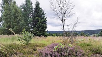 Toulky malebným údolím zmizelých vesnic v okolí Padrťských rybníků na Plzeňsku Toulky malebným údolím zmizelých vesnic v okolí Padrťských rybníků na Plzeňsku