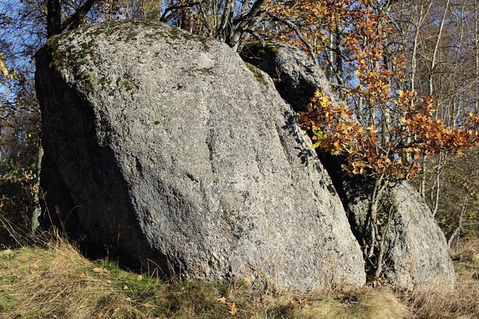 U Medvědích kamenů a dalších žulových skalek poblíž Lázní Kynžvartu v podhůří se naskytne krásný pohled na hradbu Slavkovského lesa