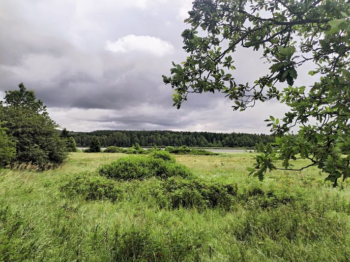 Před dvěma sty lety musel být na údolí Padrti zcela jiný pohled Před dvěma sty lety musel být na údolí Padrti zcela jiný pohled