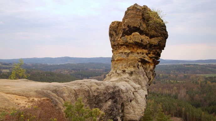 Za kyjem a výhledy na Čapský vrch