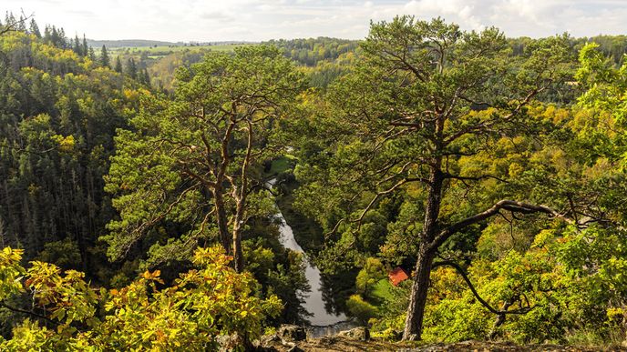 Přírodní rezervace řek Oslava a Chvojnice je nejkrásnější v podzimních měsících