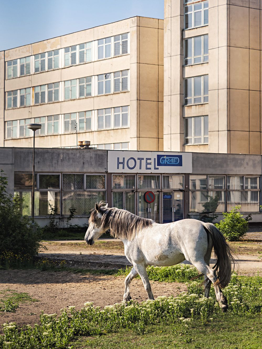 Groteskní a zároveň smutný pohled na opuštěný hotel, kolem kterého se nyní pasou koně