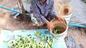 Kambodžská pěstitelka
