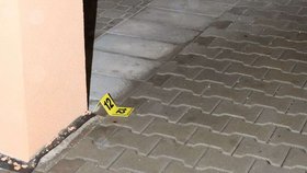 Muž, jenž postřelil dva lidi, jednal podle policie v nutné obraně.