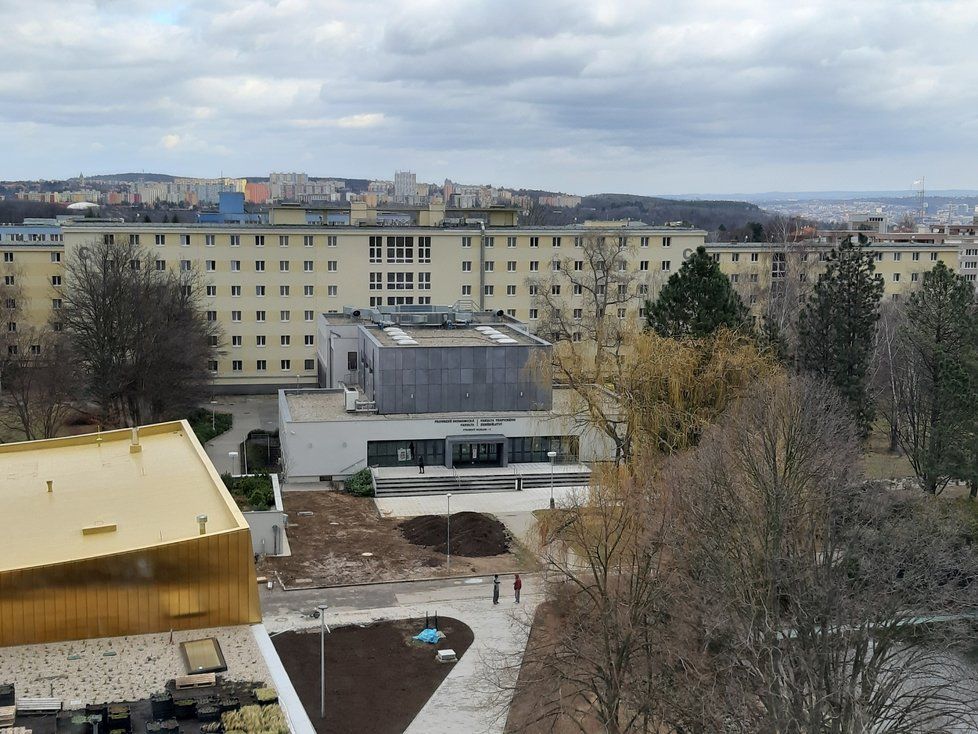 Areál České zemědělské univerzity je protkán zelenými střechami a vodní plochou
