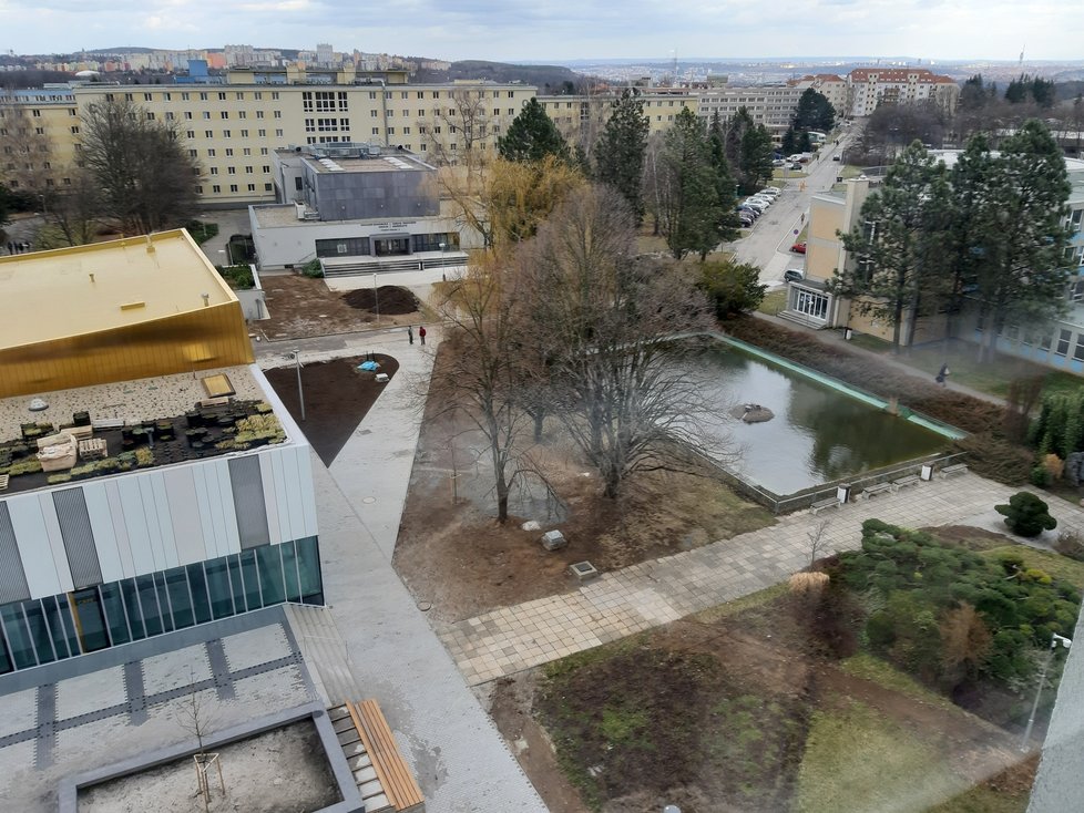 Areál České zemědělské univerzity je protkán zelenými střechami a vodní plochou
