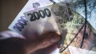 Propast mezi příjmy a výdaji rozpočtů se v ČR zvětšuje, uvedla Národní rozpočtová rada