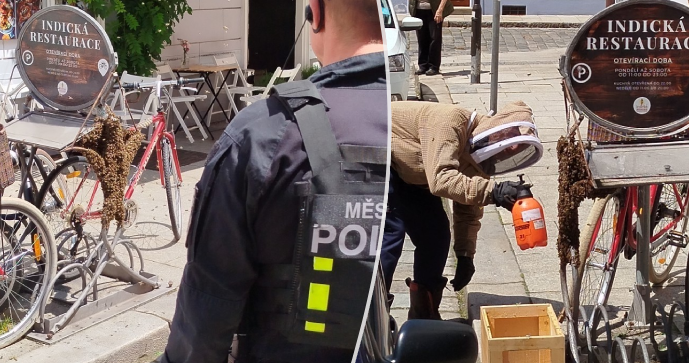 Jízdní kolo v centru Českých Budějovic obsadil včelí roj.
