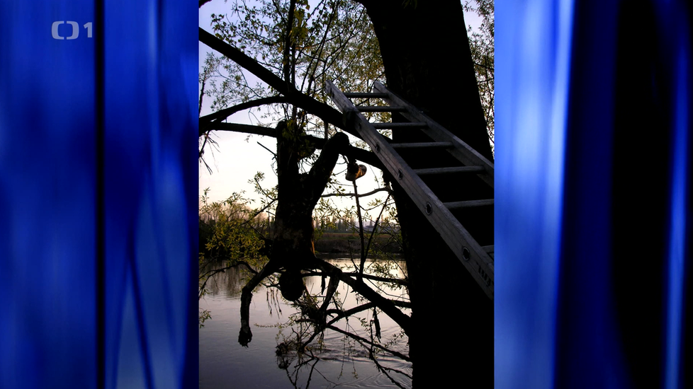 Před patnácti lety bylo u Českých Kopist nalezeno tělo muže, viselo za nohy na stromě.