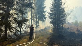Požár lesa v národním parku České Švýcarsko u Rynartic, 3. května 2026, Jetřichovice, Děčínsko.