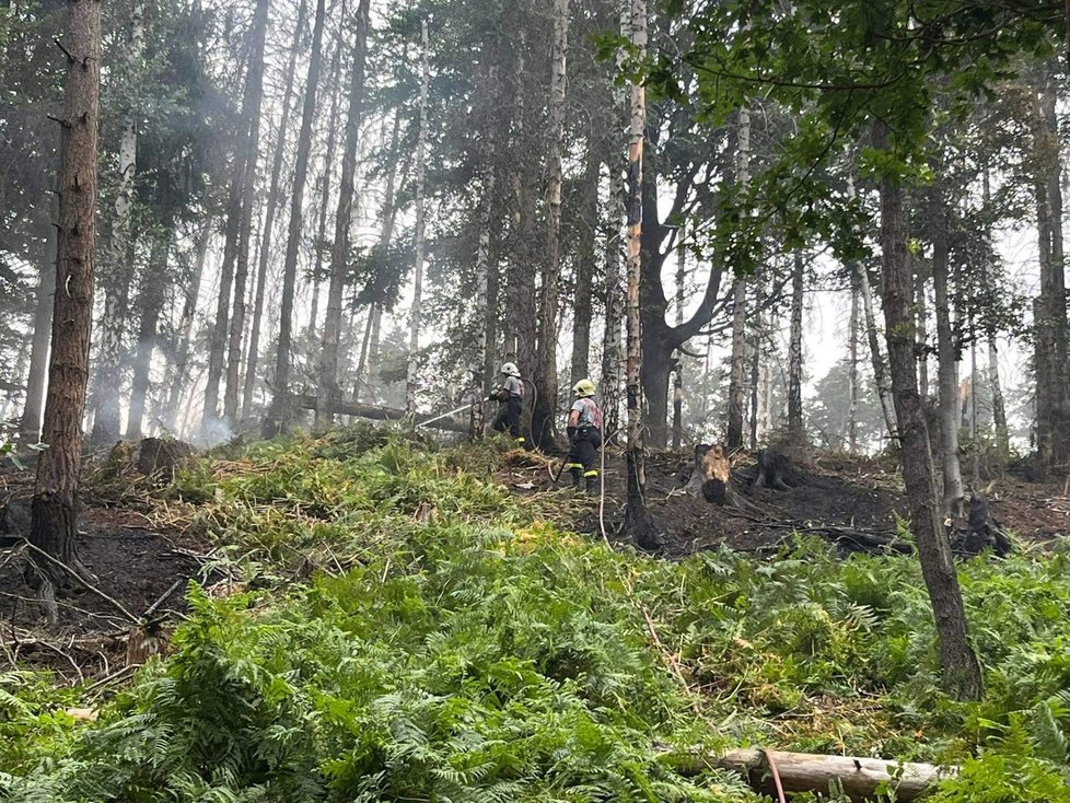 Dobrovolní hasiči z Prackovic pomáhali hasit tento strašný požár v Českém Švýcarsku.