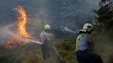 Za požár v Hřensku až 15 let vězení: Státní zástupce obžaloval bývalého strážce lesů