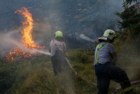 Za požár v Hřensku až 15 let vězení: Státní zástupce obžaloval bývalého strážce lesů