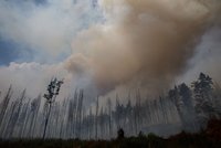 Rok od ohnivého pekla v Českém Švýcarsku: Týdny hašení, stovky vyčerpaných hasičů a zničená příroda