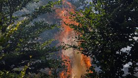 Hašení požáru v Hřensku. 26. července 2022