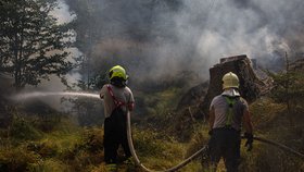 Hašení požáru v Hřensku (26. července 2022)