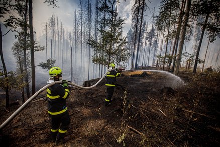 Hašení požáru v Hřensku. 26. července 2022