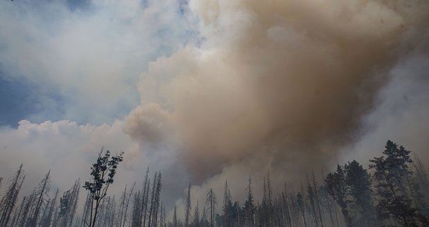 Rok od ohnivého pekla v Českém Švýcarsku: Týdny hašení, stovky vyčerpaných hasičů a zničená příroda