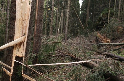 V žebříčku pojištěných následků větrných smrští se Herwart umístil na druhém místě po orkánu Kyrill z roku 2007.