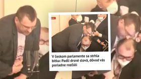Potyčka v českém parlamentu zaujala média v okolních zemích.