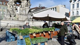 Na Zelném trhu v Brně začalo díky uvolnění vládních opatření proti šíření koronaviru znovu fungovat tržiště. Od rána tam své výpěstky zatím nachystalo osm zemědělců a dorazili i první zákazníci (12. 4. 2021).