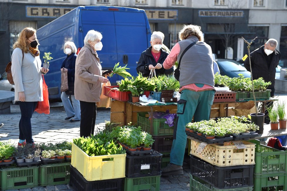 Na Zelném trhu v Brně začalo díky uvolnění vládních opatření proti šíření koronaviru znovu fungovat tržiště. Od rána tam své výpěstky zatím nachystalo osm zemědělců a dorazili i první zákazníci (12. 4. 2021).