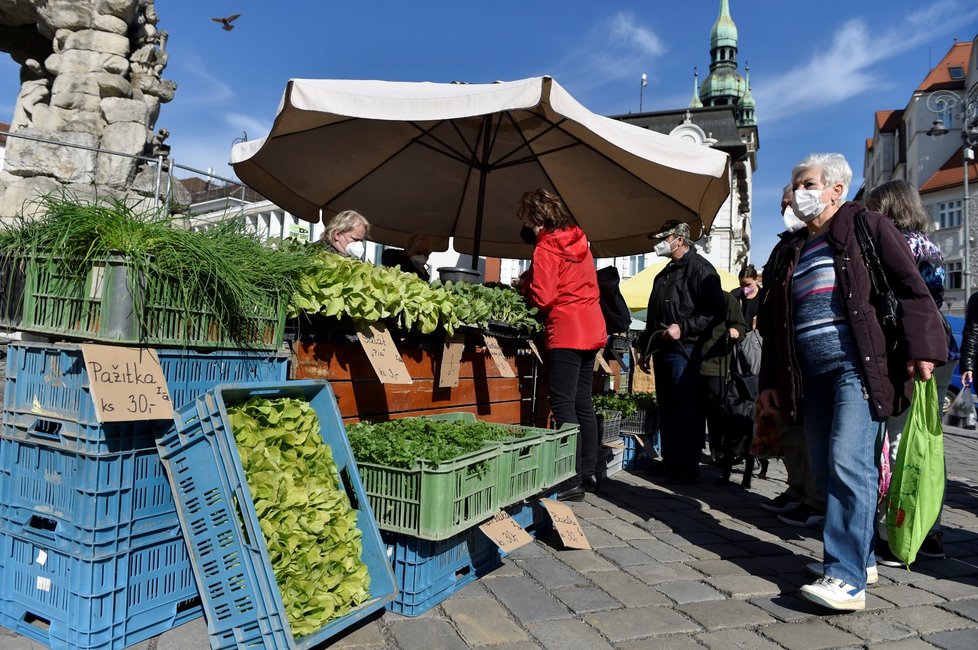 Na Zelném trhu v Brně začalo díky uvolnění vládních opatření proti šíření koronaviru znovu fungovat tržiště. Od rána tam své výpěstky zatím nachystalo osm zemědělců a dorazili i první zákazníci (12. 4. 2021).