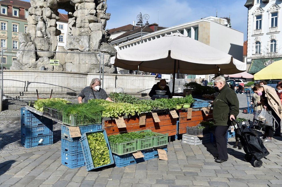 Na Zelném trhu v Brně začalo díky uvolnění vládních opatření proti šíření koronaviru znovu fungovat tržiště. Od rána tam své výpěstky zatím nachystalo osm zemědělců a dorazili i první zákazníci (12. 4. 2021)