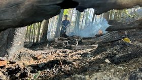 Hasiči Olomouckého kraje se podělili o další fotky z požáru v Hřensku.&nbsp;