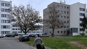 Koronavirus v Česku: Lidé mají za úkol zůstávat doma. Obchody i služby jsou zavřené, stejně tak divadla či kina
