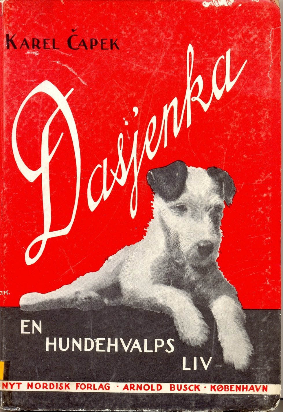 Dášeňka vyšla v mnoha překladech, takhle například vypadala norská verze knihy.