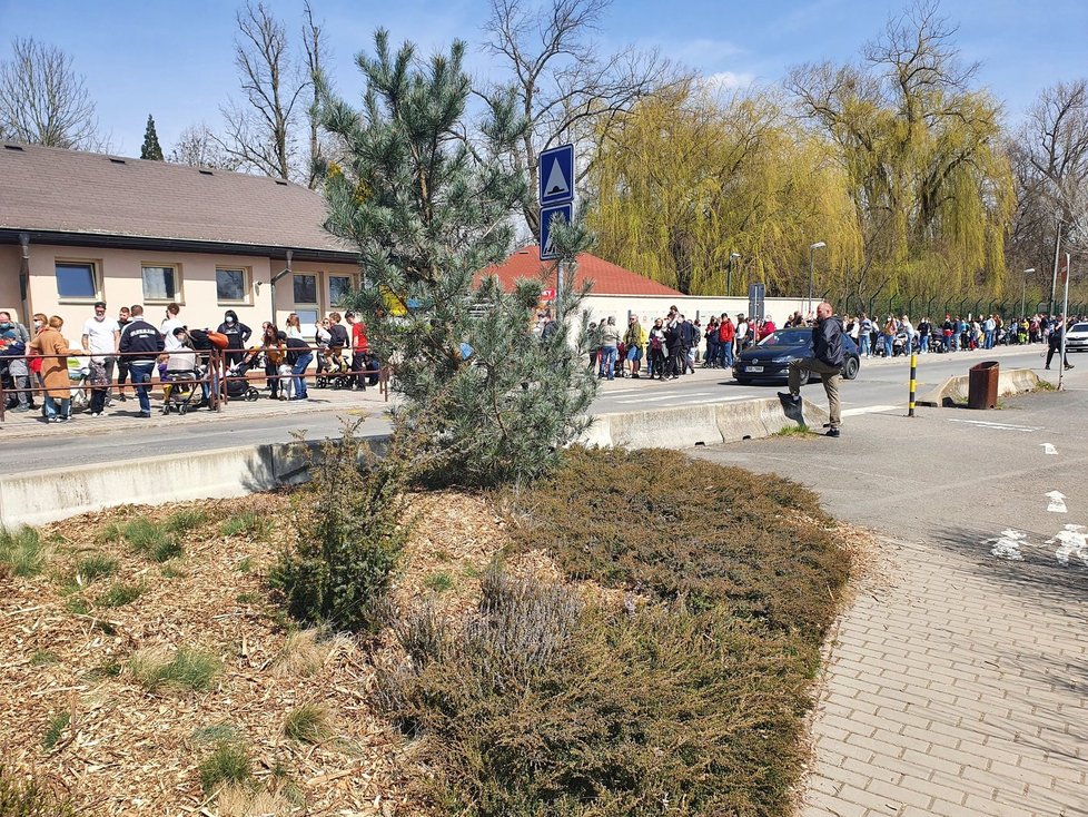 Obří fronta před plzeňskou zoologickou zahradou