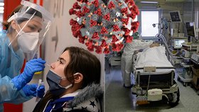 Podle ústecké hygieničky se mezi námi bude koronavirus vyskytovat ještě minimálně rok.