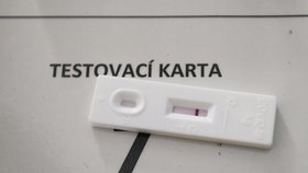 Návrat žáků do škol: Žáci 6. a 7. tříd se vrátili do lavic Masarykovy ZŠ v Plzni (3.5.2021)