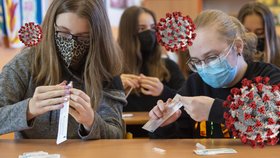 Návrat žáků do škol: Testování v Kolíně