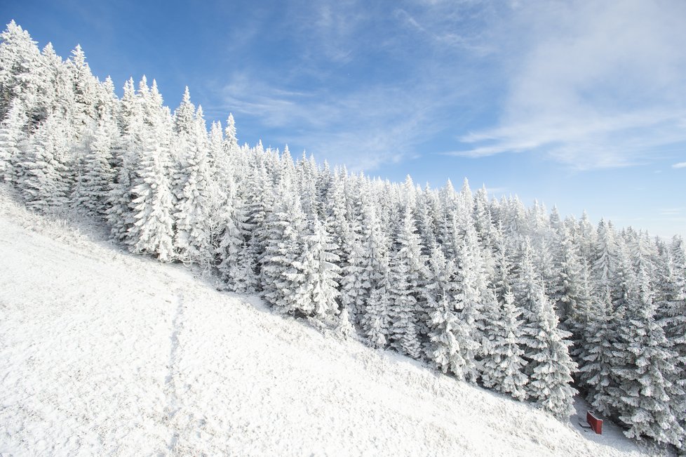 Horská služba varuje v Krkonoších před ledovkou a náledím, (17.12.2021).