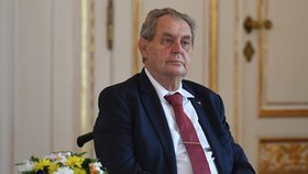 Zeman: Na pohřeb Alžběty II. poletí Fiala. Mám díru v břiše, zakázali mi létat, vzkázal prezident