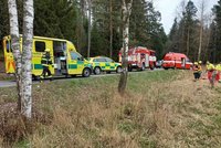 Smrt motorkáře u Trhových Svinů: Vlétl do stromu